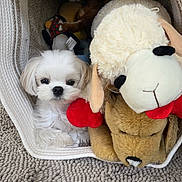 Lego joined the competition — help win amazing prizes! puppy, dog, white, fluffy, stuffed_animals, plush, basket, carpet, indoor, cozy, small_dog, toy, fabric, texture, cute, pet, resting, animal, snug, home