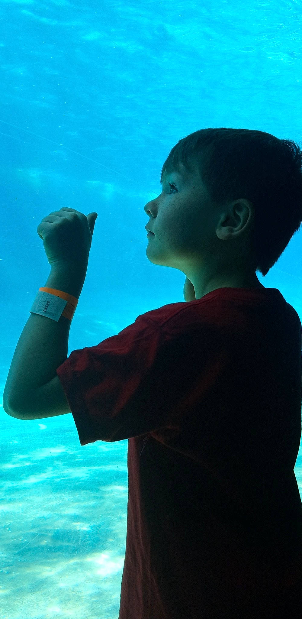 Drake is registered to the contest to win money with this photo: azure, child, elbow, electric_blue, fun, gesture, happy, joint, leisure, ocean, organism, person, recreation, sleeve, standing, t_shirt, toddler, underwater, vertebrate, water