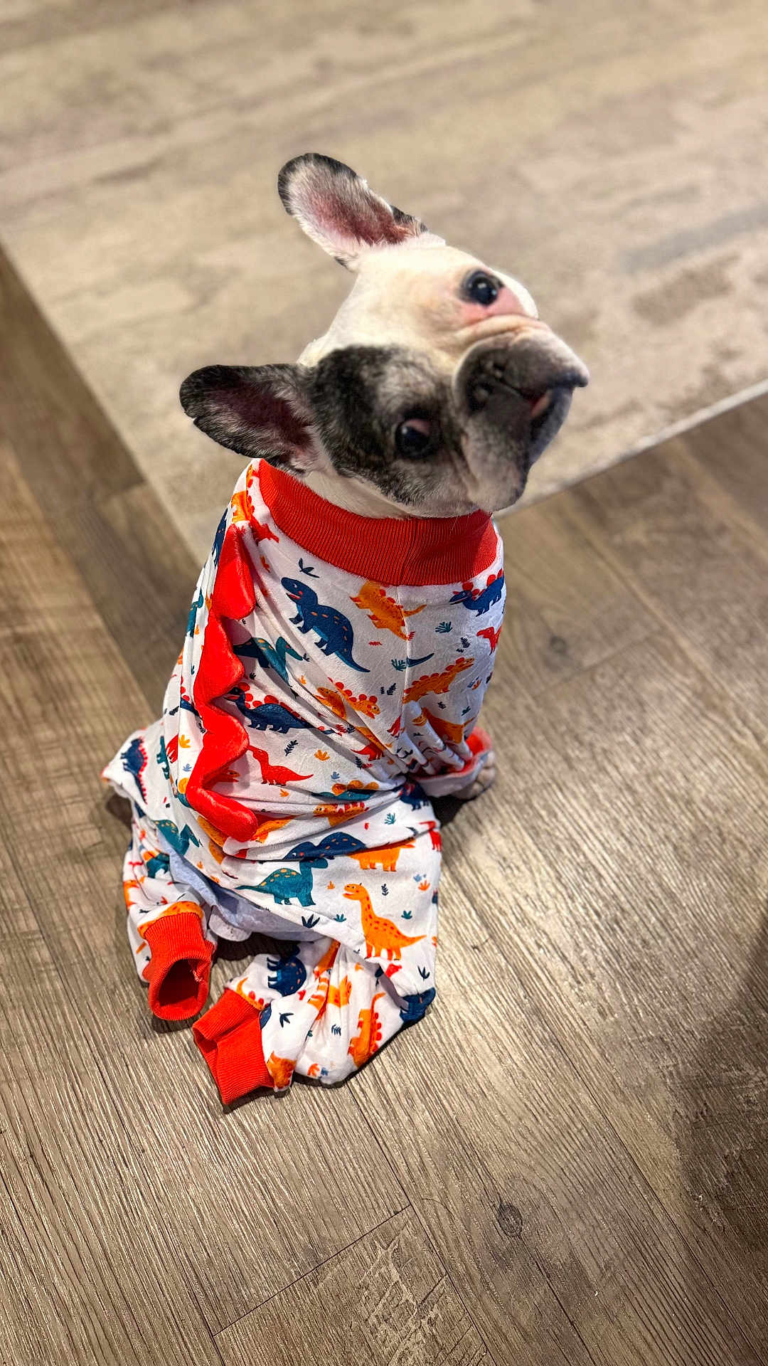 Chance is registered to the contest to win money with this photo: dog, french_bulldog, pajamas, dinosaur_print, hardwood_floor, indoor, pet, looking_up, tilted_head, ears, snout, expressive_eyes, white_fur, black_spots, colorful, cozy, sitting, close_up, fabric, cute