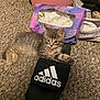 kitten, cat, pet, adidas, sandal, shoe, carpet, tongue_out, tissue_box, gray_tabby, indoor, cute, small, animal, playful, paw, feline, resting, household, funny
