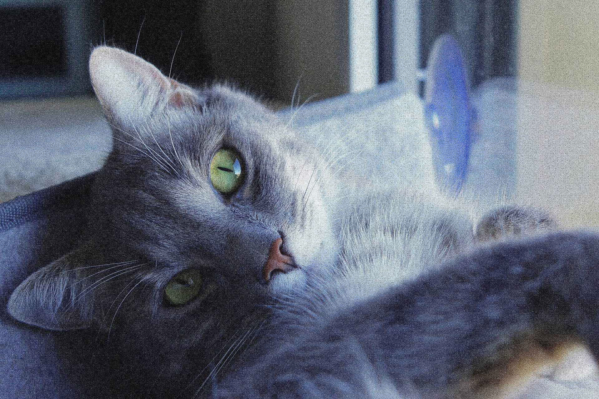 Smoky
