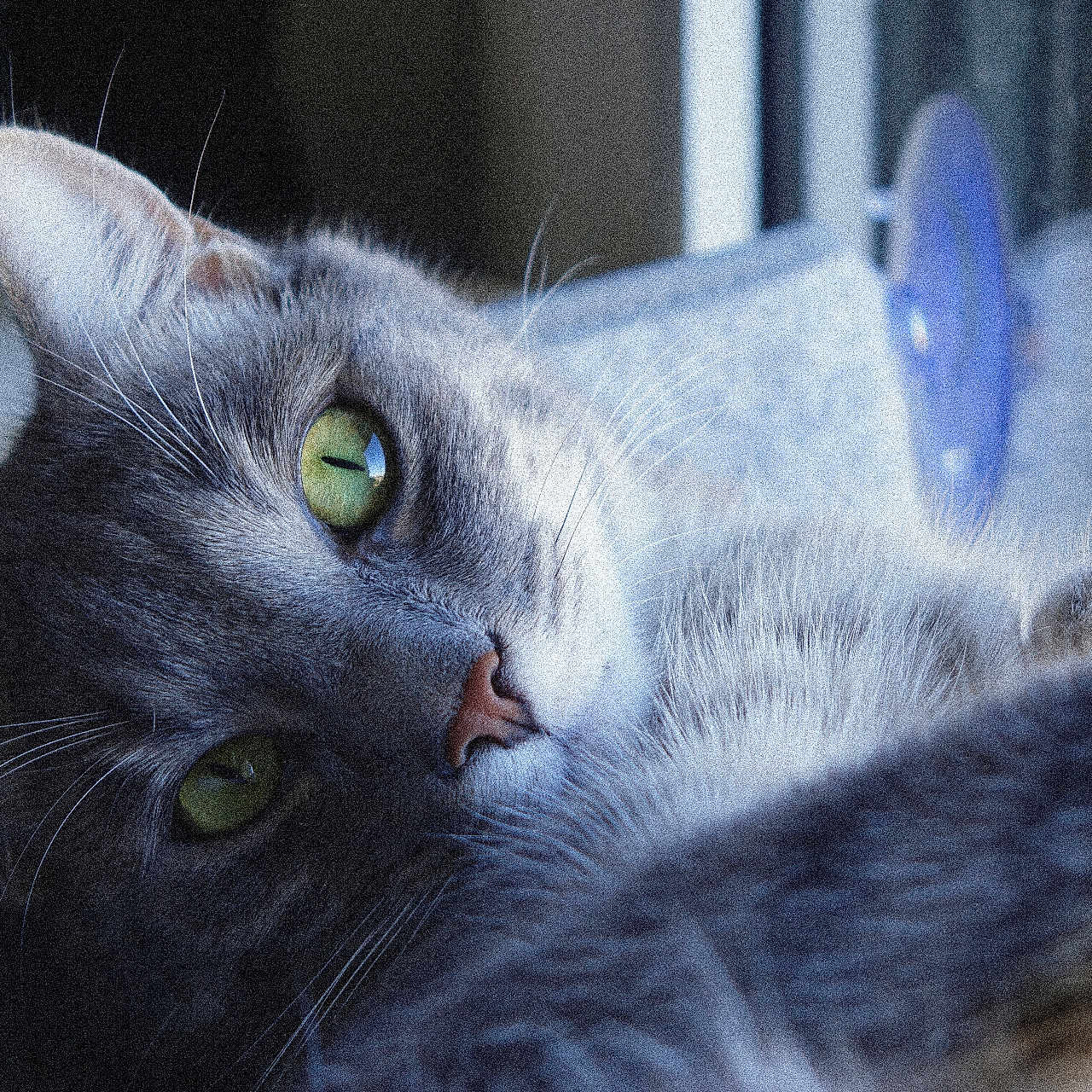 Smoky