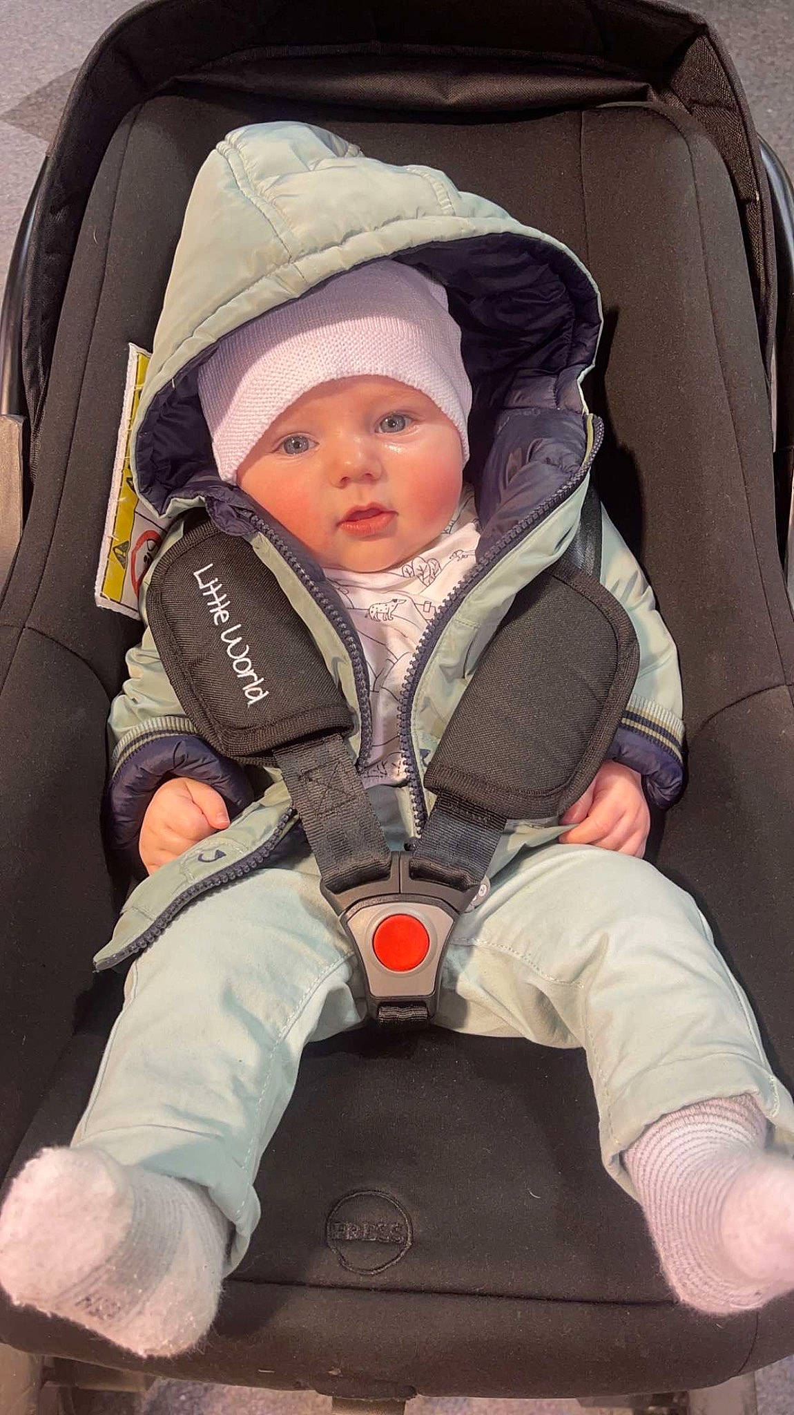 Tino a rejoint le concours — aidez-le/la à gagner de superbes lots ! auto_part, baby, baby_carriage, baby_products, baby_safety, baby_toddler_clothing, car_seat, child, comfort, fun, headwear, human, person, photograph, photography, product, sitting, snapshot, toddler, travel