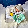 Noah a rejoint le concours — aidez-le/la à gagner de superbes lots ! baby, sleeping, knitted_outfit, hat, plush_star, wooden_bed, blanket, embroidered, name, koala, mint_green, fur_rug, clouds, stars, night_sky, cute, cozy, infant, resting, portrait