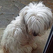 Faya participe au concours pour gagner de l'argent avec cette photo :