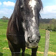 Anabella participe au concours pour gagner de l'argent avec cette photo :