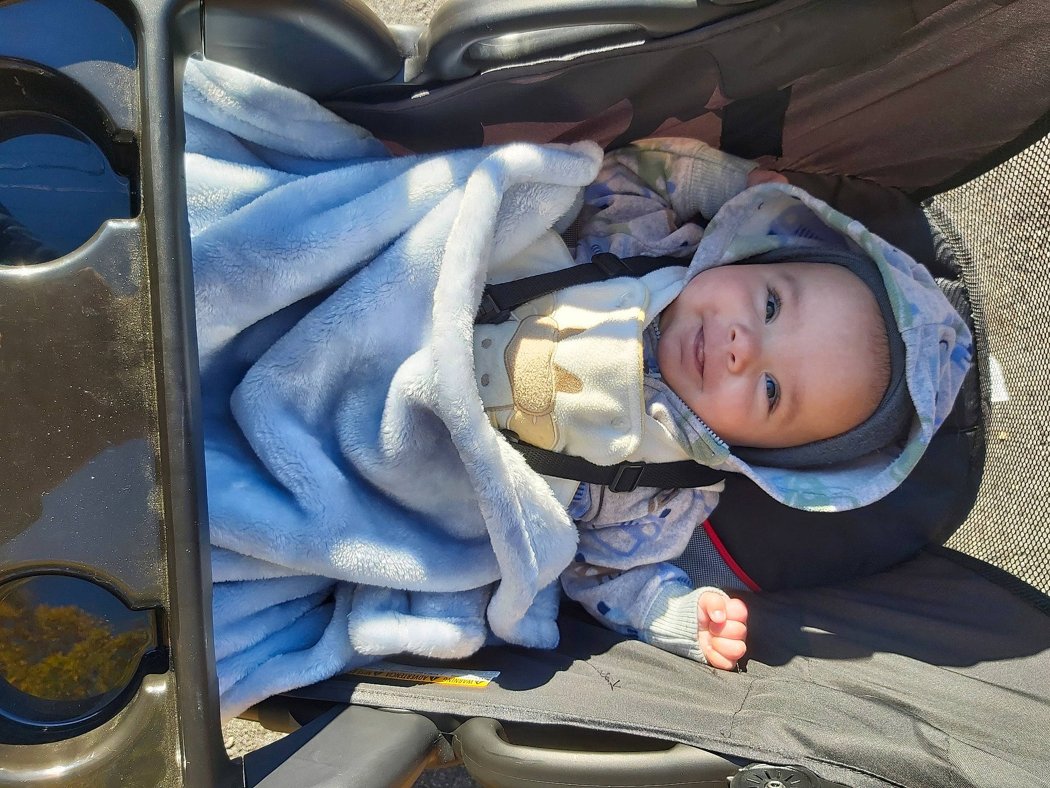 Quinton joined the competition — help win amazing prizes! auto_part, automotive_design, baby, baby_carriage, baby_products, baby_safety, baby_toddler_clothing, car_seat, child, comfort, electric_blue, headwear, luxury_vehicle, motor_vehicle, person, product, sitting, snapshot, toddler, tree