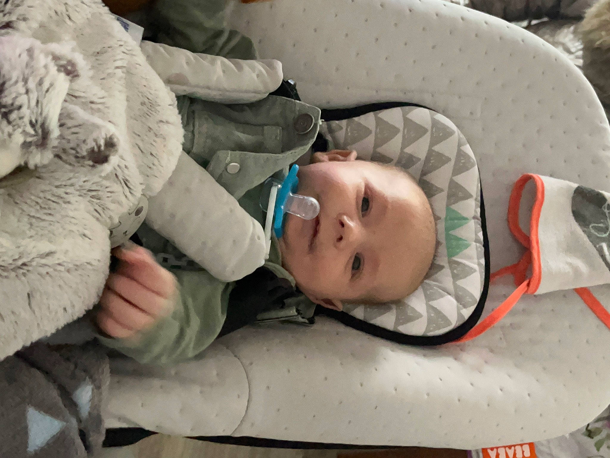 Alvaro participe au concours pour gagner de l'argent avec cette photo : baby, baby_products, baby_toddler_clothing, beauty, cheek, child, comfort, eye, grass, head, headgear, linens, mouth, people, person, skin, smile, snapshot, toddler, tree