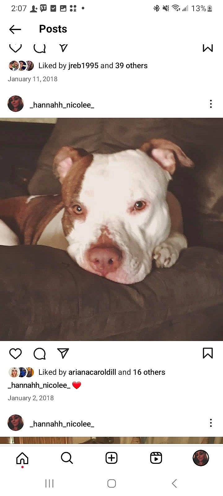 Nina is registered to the contest to win money with this photo: advertising, canidae, carnivore, companion_dog, cordoba_fighting_dog, dog, dog_breed, fawn, font, mammal, non_sporting_group, pet_supply, photo_caption, photography, recipe, snout, sporting_group, terrestrial_animal, vertebrate, working_animal