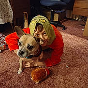 Cookie joined the competition — help win amazing prizes! boy, carpet, child, cozy, curious, dog, floor, furniture, happy, home, hood, indoor, pet, pet_accessory, playful, plush_toy, smile, toy, treats, warm_lighting