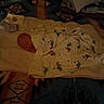 Rayne is registered to the contest to win money with this photo: baby, blanket, sleeping, bed, patterned_blanket, soft_surface, infant, cozy, comfort, indoor, sleep, child, peaceful, resting, colorful, fabric, textile, head, wrapped, quiet