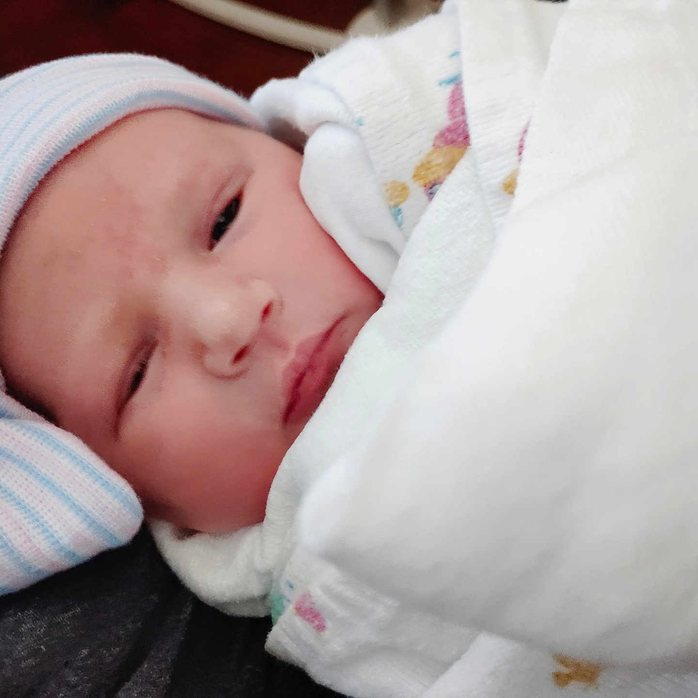 Rayne is registered to the contest to win money with this photo: newborn, baby, infant, blanket, hat, sleepy, wrapped, cozy, closeup, face, soft, cute, child, person, indoors, warm, headwear, newborn_clothing, resting, portrait