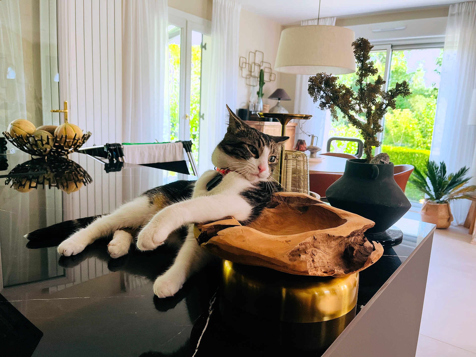Simba