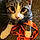 Felix