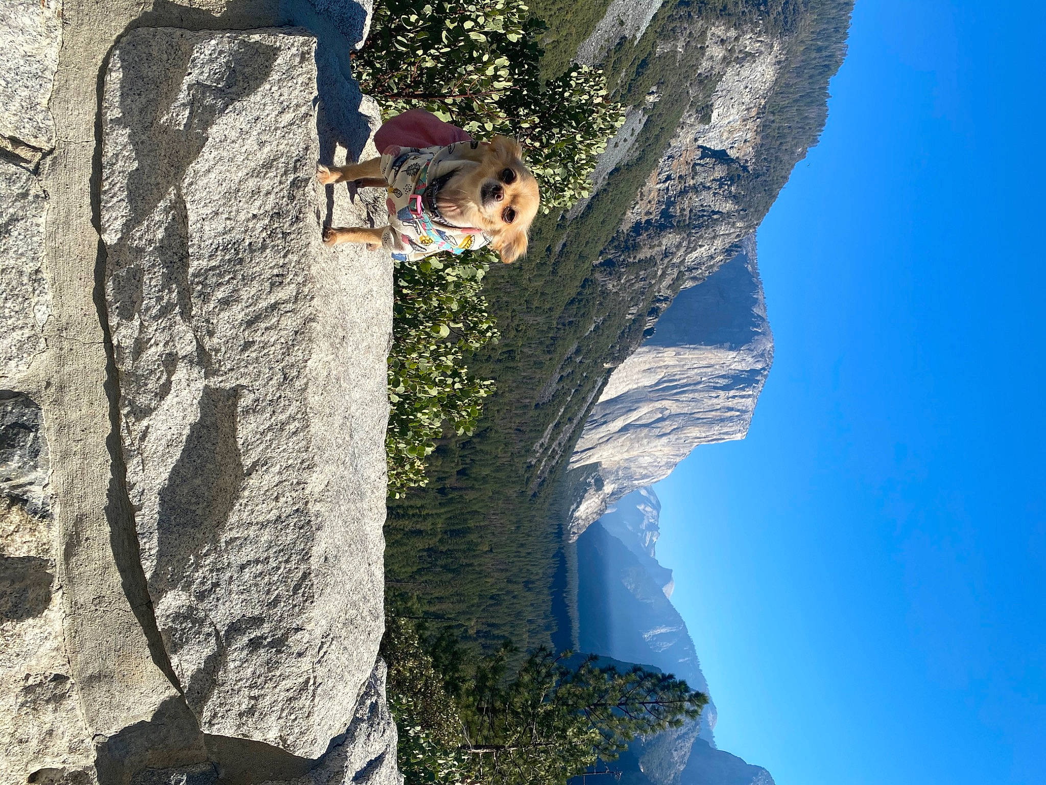 Aiko is registered to the contest to win money with this photo: azure, bedrock, blue, carnivore, dog, escarpment, formation, geology, hill, hill_station, klippe, mountain, mountain_range, mountainous_landforms, outcrop, rock, slope, sunlight, terrain, world