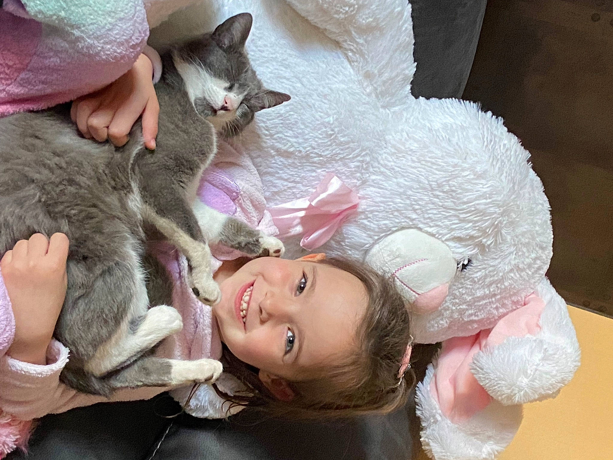 Bella a rejoint le concours — aidez-le/la à gagner de superbes lots ! cat, child, comfort, domestic_short_haired_cat, ear, eyelash, felidae, fun, fur, happy, headgear, joy, nap, person, pink, skin, small_to_medium_sized_cats, smile, stuffed_toy, toddler