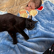 Nicholas joined the competition — help win amazing prizes! baby, blanket, black_cat, cat, child, cute, face, fur, head, indoor, nap, peaceful, pet, resting, sleeping, soft_texture, toddler, toy, warm, young_child