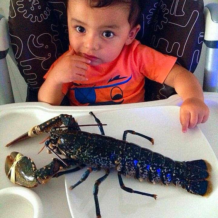 Andres participe au concours pour gagner de l'argent avec cette photo :