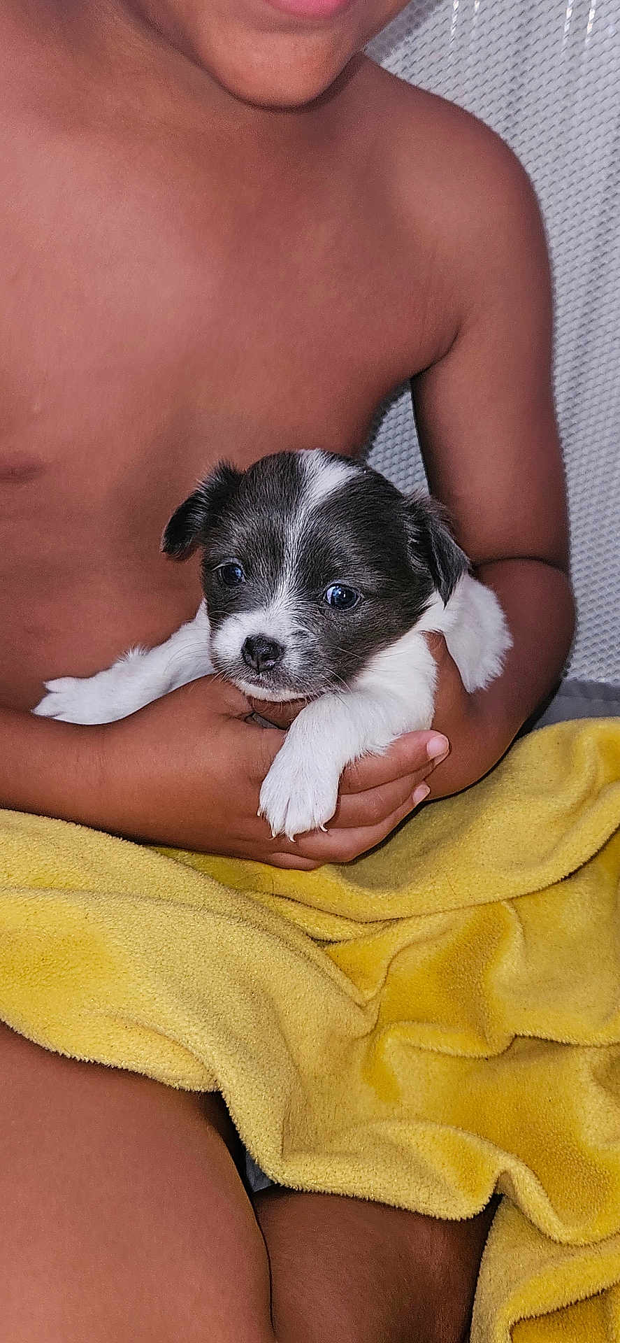 Abby