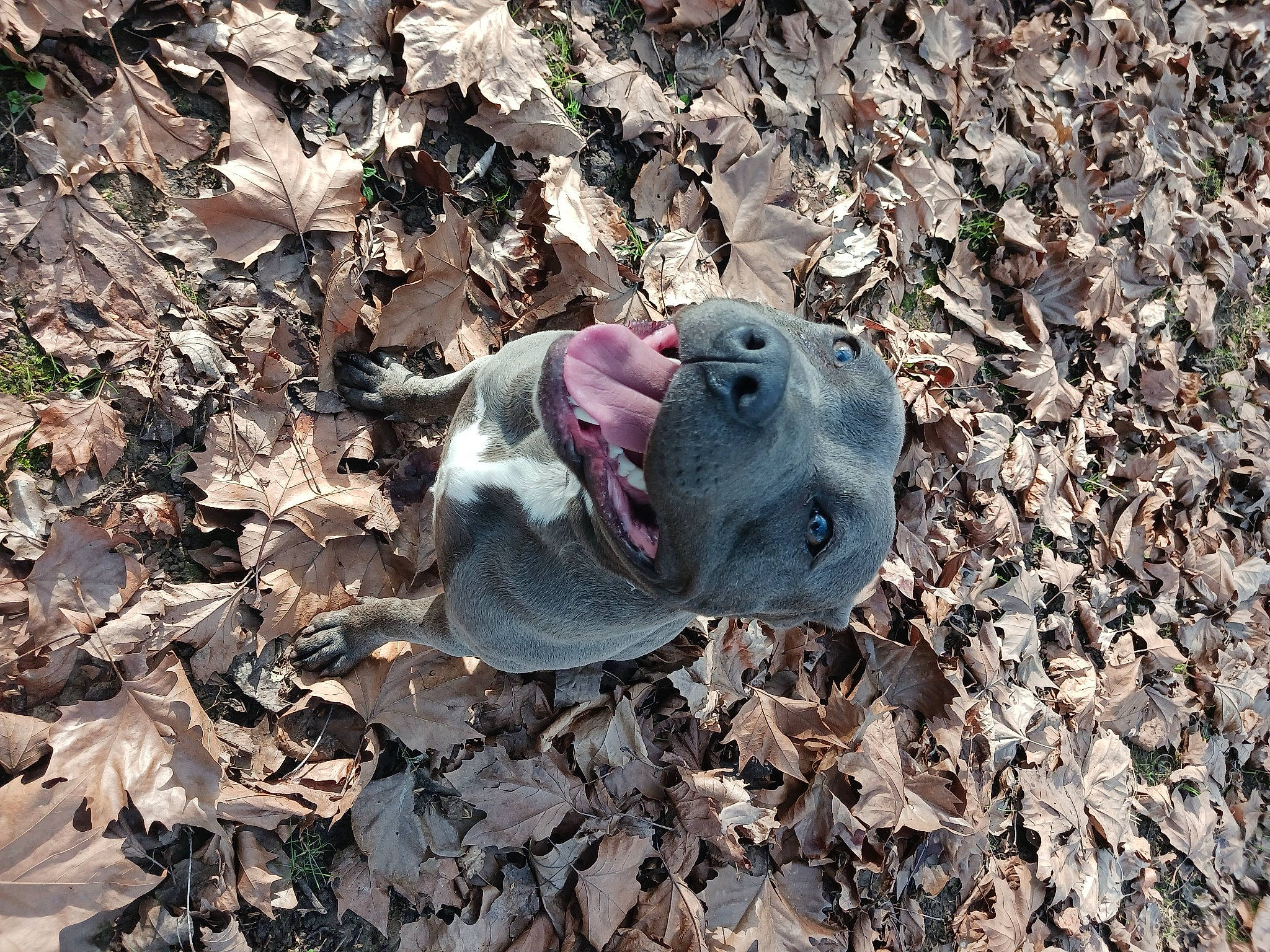 Unik a rejoint le concours — aidez-le/la à gagner de superbes lots ! asphalt, fashion_accessory, grass, groundcover, hat, helmet, landscape, plant, road_surface, rock, soil, succulent_plant, terrestrial_plant, tree, wood