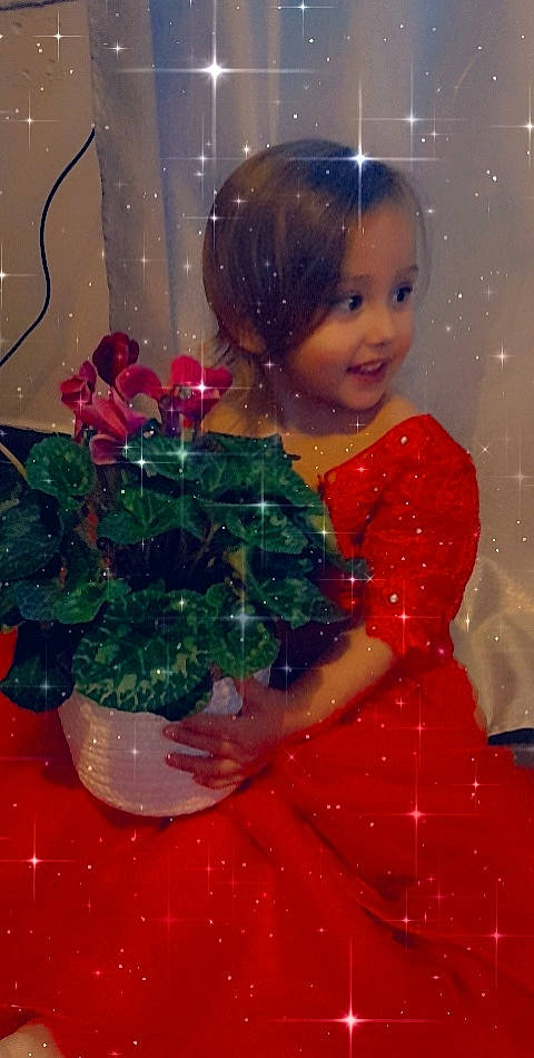 Zelya participe au concours pour gagner de l'argent avec cette photo : christmas, christmas_decoration, christmas_eve, christmas_ornament, christmas_tree, doll, event, flowerpot, happy, holiday, holiday_ornament, houseplant, magenta, ornament, person, pink, plant, smile, toddler, toy