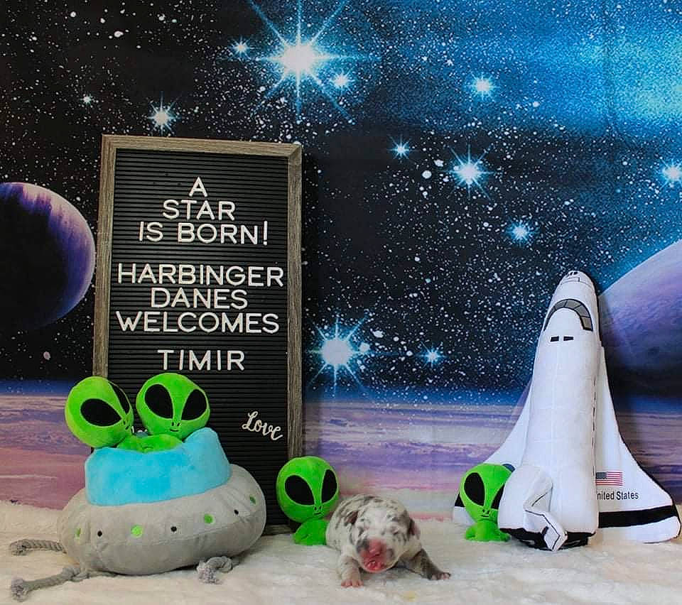 Astro is registered to the contest to win money with this photo: advertising, art, astronomical_object, christmas_eve, event, fictional_character, font, graphics, grass, greeting_card, happy, human_leg, illustration, light, organism, poster, sky, space, star, world