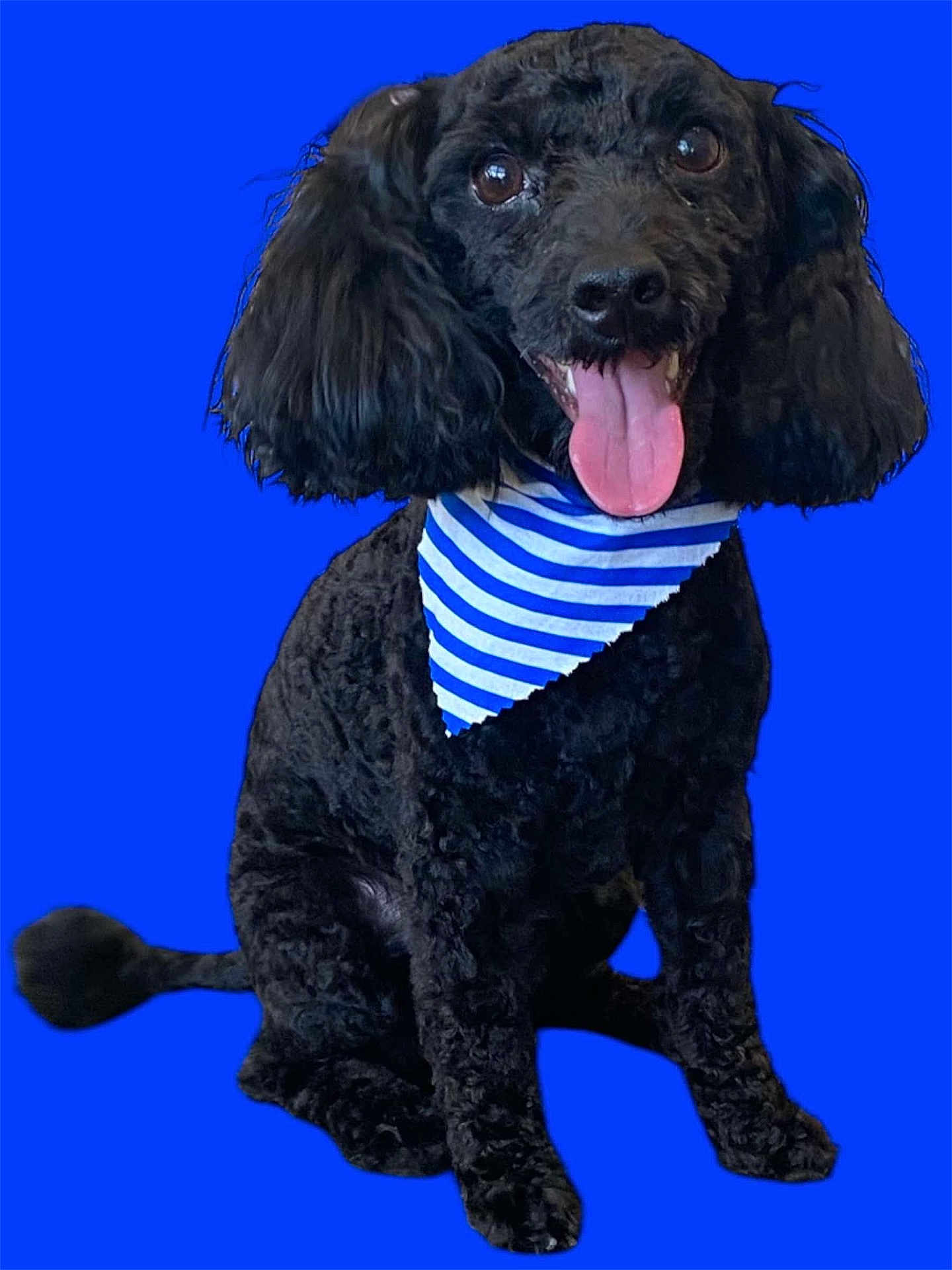 Archie
