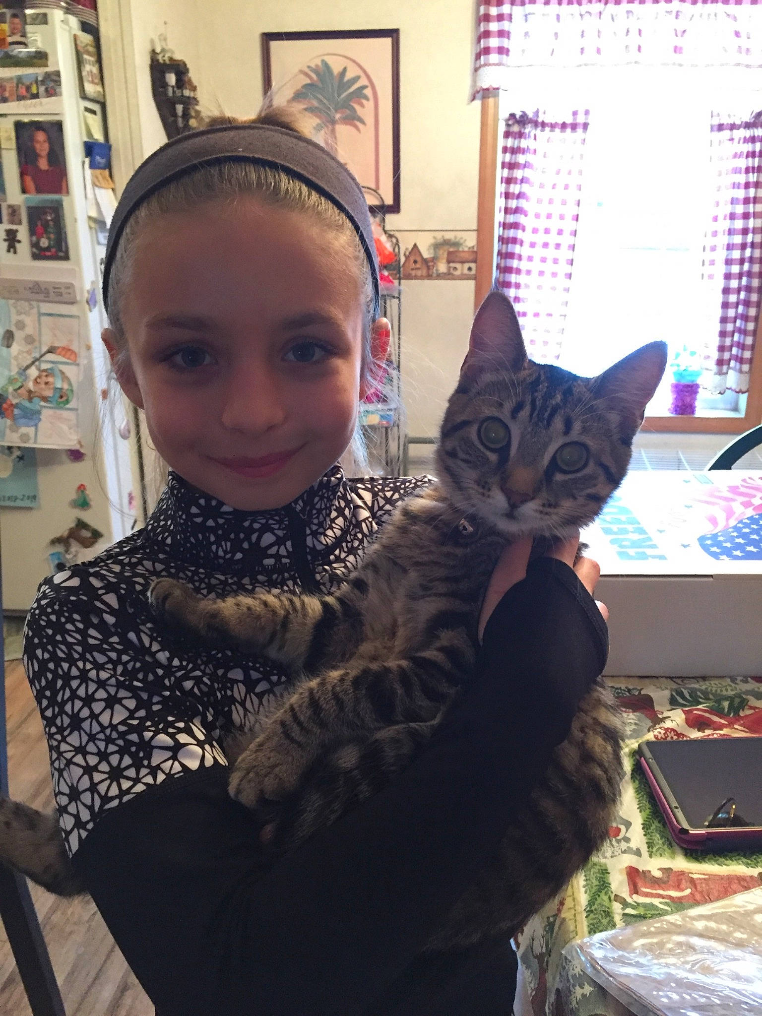 Taylor is registered to the contest to win money with this photo: american_shorthair, asian, carnivore, cat, domestic_short_haired_cat, ear, egyptian_mau, european_shorthair, felidae, fur, head, person, small_to_medium_sized_cats, tabby_cat, whiskers