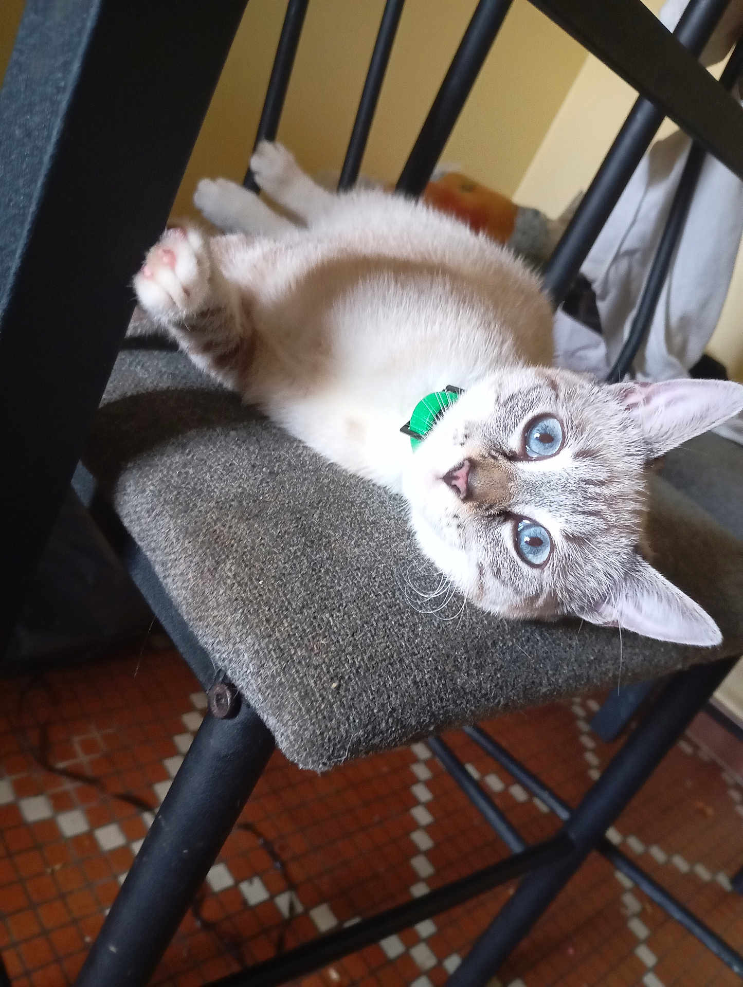 Meïli