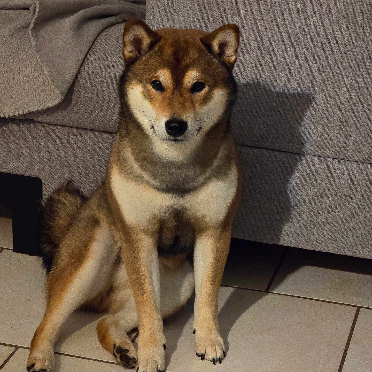 Aiko