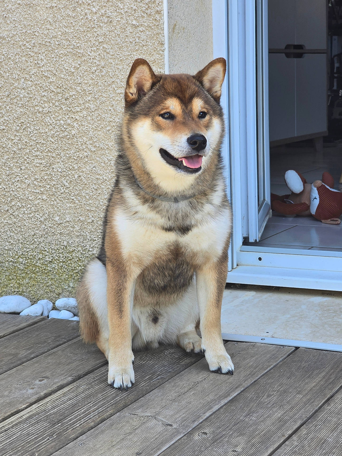 Aiko