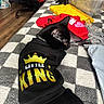 Handsome is registered to the contest to win money with this photo: animal, black_cat, blanket, casual, cat, checkered_pattern, collar, crown, domestic_cat, furniture, indoor, pet, pet_clothing, plastic_container, red_shirt, resting, shirt, side_view, text, wooden_floor