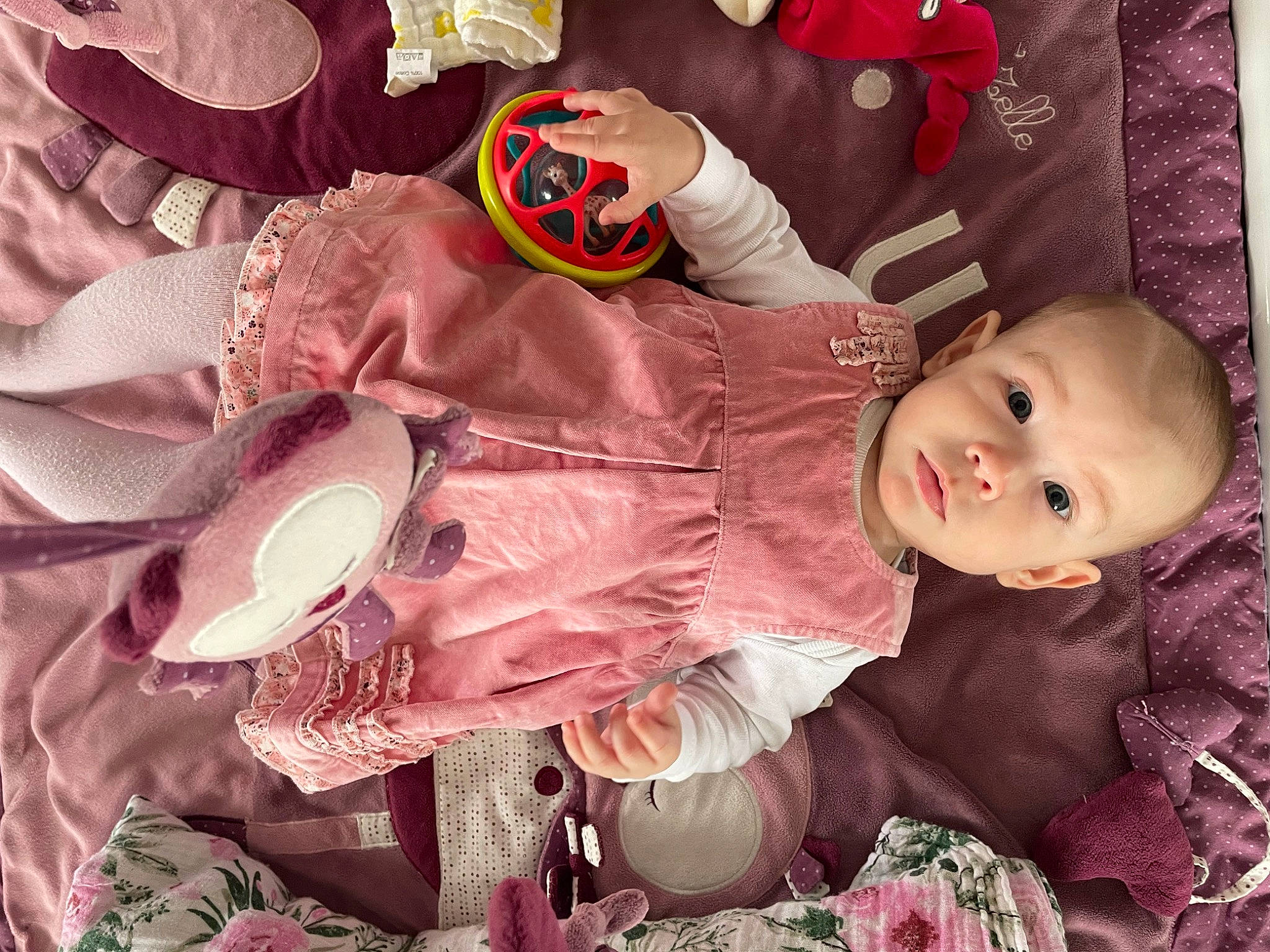 Arya participe au concours pour gagner de l'argent avec cette photo : baby, baby_products, baby_toddler_clothing, baby_toys, carmine, cheek, child, happy, linens, magenta, pattern, person, personal_protective_equipment, pink, room, sleeve, smile, textile, toddler, toy