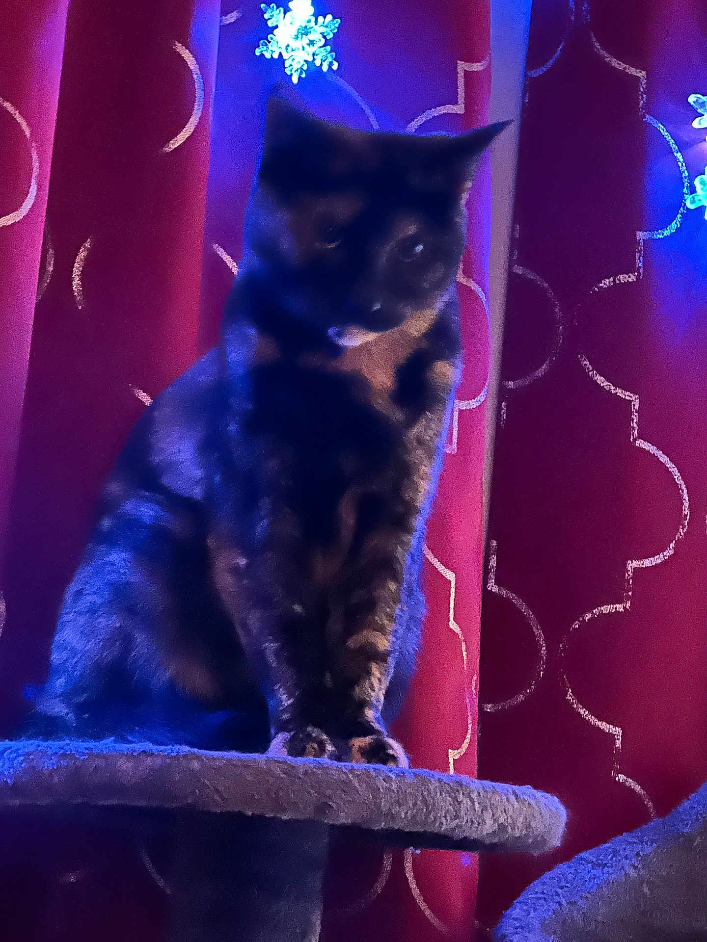 Nala