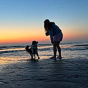 Vox participe au concours pour gagner de l'argent avec cette photo : sunset, beach, dog, person, ocean, water, silhouette, sand, waves, sky, outdoor, nature, animal, pet, evening, reflection, casual_clothing, interaction, leisure, coast