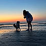 sunset, beach, dog, person, ocean, water, silhouette, sand, waves, sky, outdoor, nature, animal, pet, evening, reflection, casual_clothing, interaction, leisure, coast