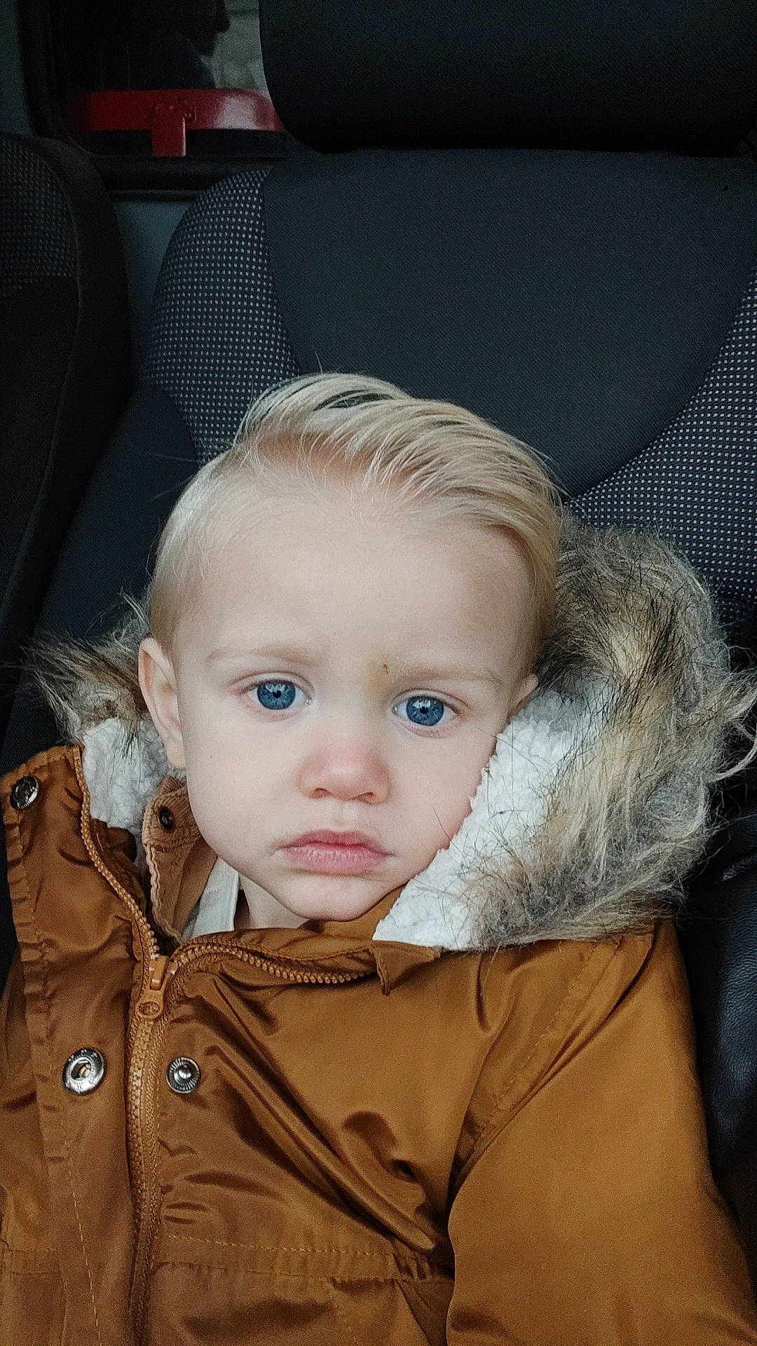 Lyam participe au concours pour gagner de l'argent avec cette photo : baby, blond, brown_hair, cheek, child, comfort, ear, eye, eyebrow, eyelash, face, flash_photography, happy, iris, jacket, lip, nose, person, skin, sleeve