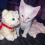 Snow joined the competition — help win amazing prizes! bedroom, bell, black_surface, blue_eyes, closeup, companion, curious, cute, domestic_animal, fabric, feline, indoor, kitten, pet, plush_toy, red_collar, soft_toy, stuffed_animal, white_cat, young_animal