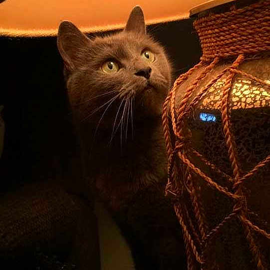 Dusty is registered to the contest to win money with this photo: