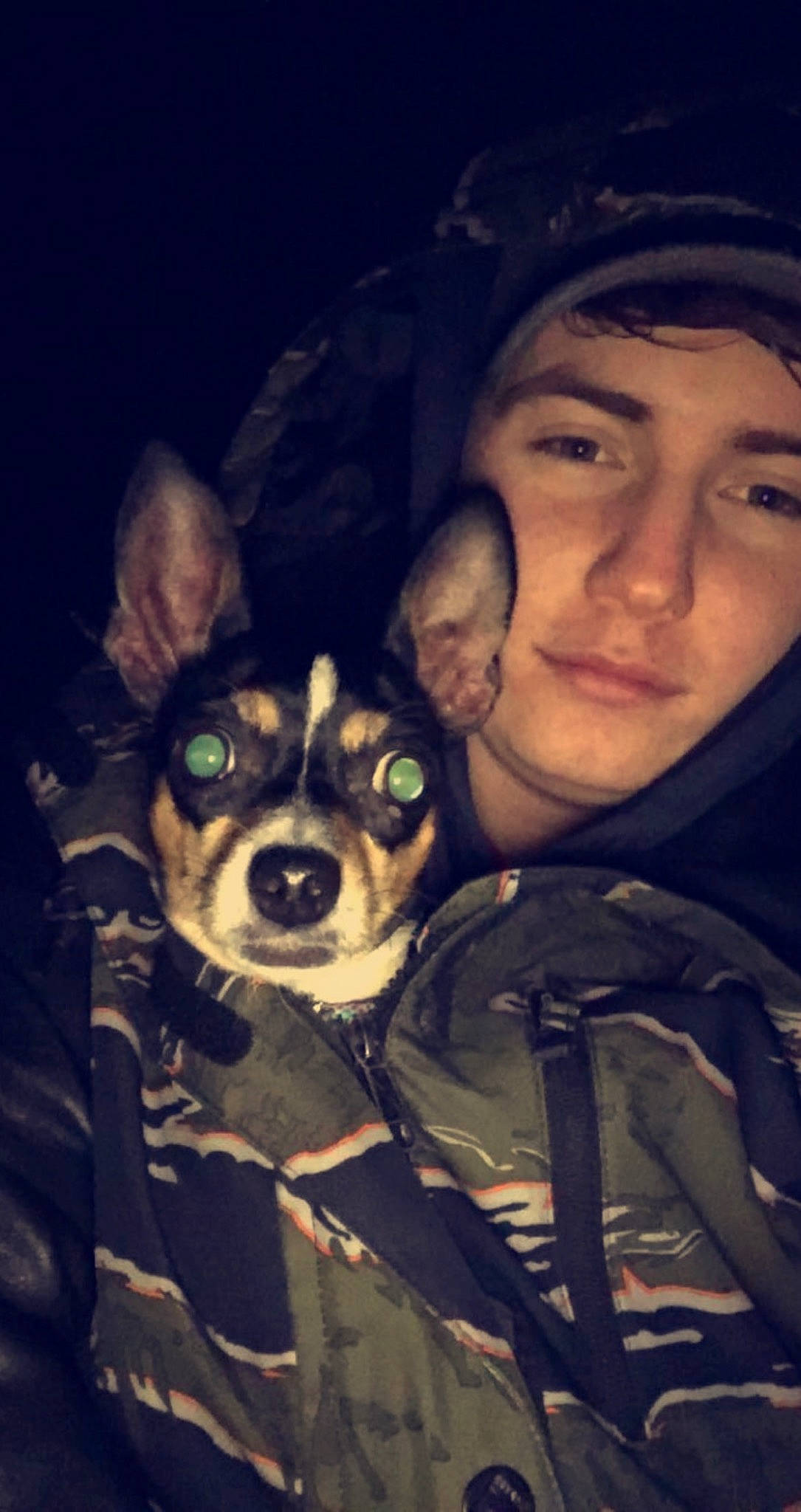 Daisy joined the competition — help win amazing prizes! canidae, carnivore, companion_dog, cool, darkness, dog, dog_breed, ear, flash_photography, fun, fur, happy, non_sporting_group, personal_protective_equipment, smile, snout, sporting_group, t_shirt, toy_dog, whiskers