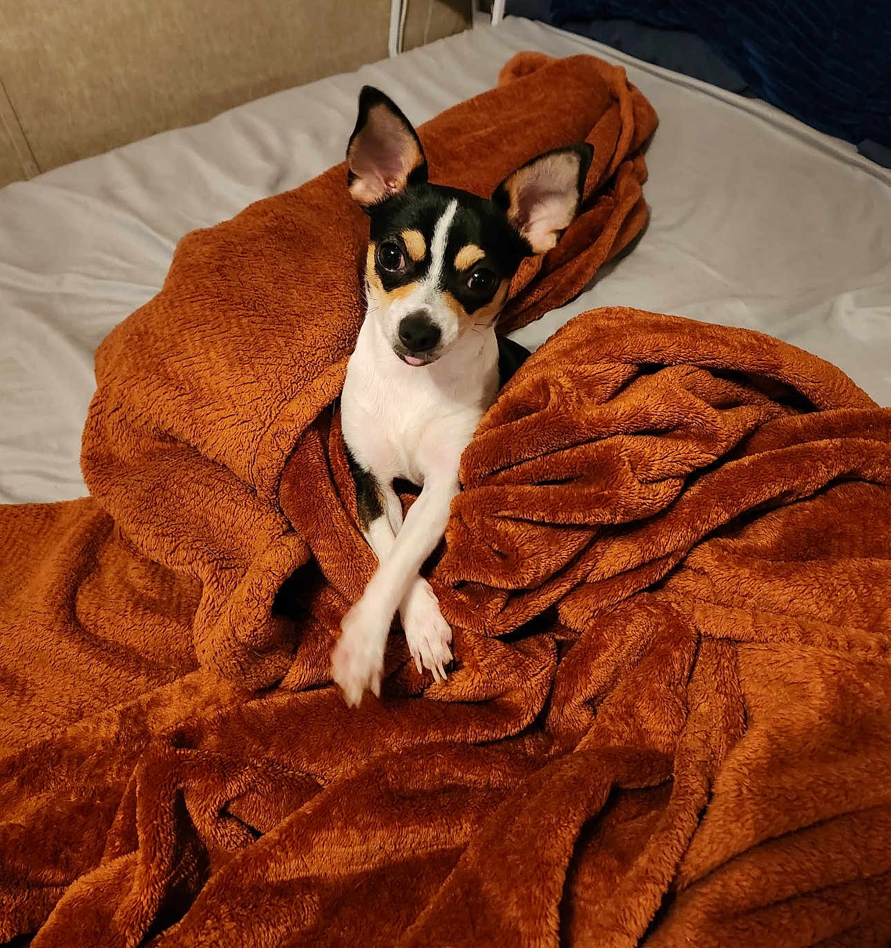 Chiquita