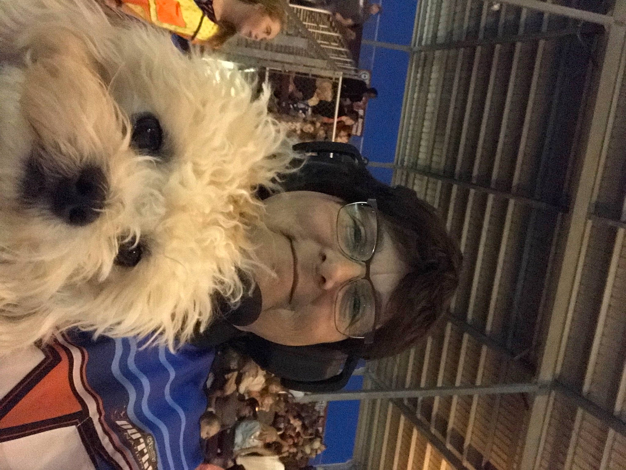Bella joined the competition — help win amazing prizes! carnivore, cockapoo, companion_dog, dog, dog_breed, dog_clothes, eyewear, fur, glasses, happy, puppy_love, selfie, shih_poo, sitting, small_terrier, sunglasses, terrier, toy, toy_dog, vision_care