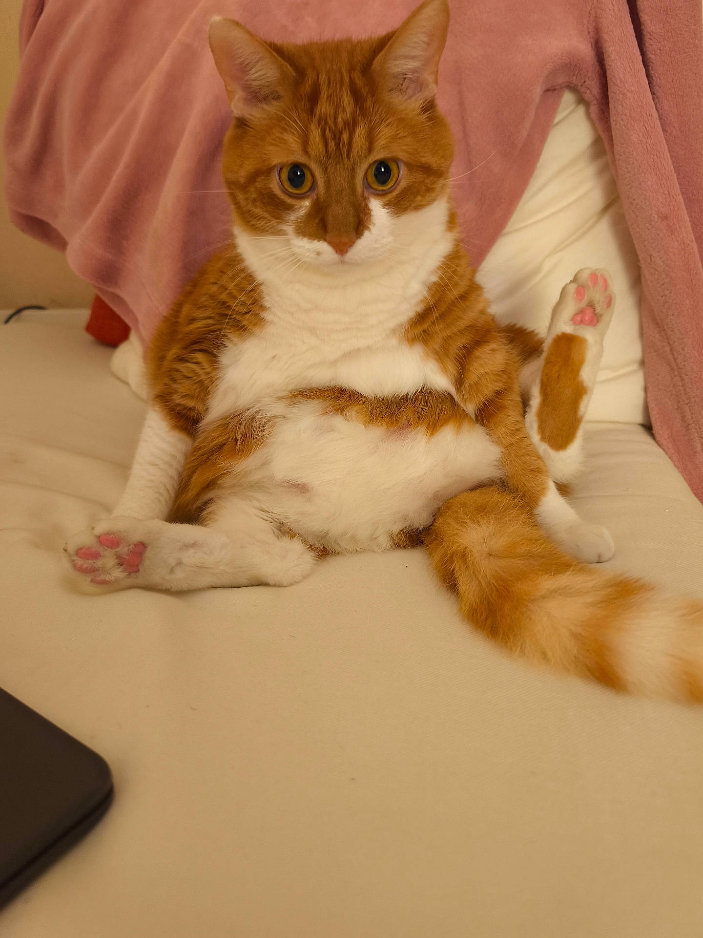 Simba