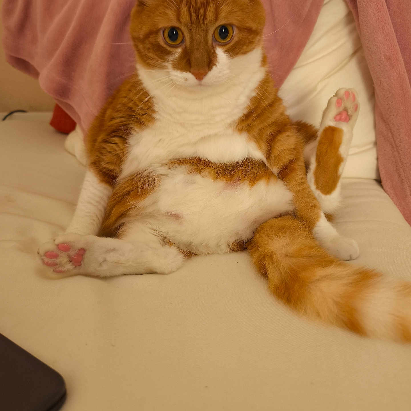 Simba