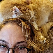 Twinkie joined the competition — help win amazing prizes! blanket, brown_hair, cat, couch, cozy, eyewear, face, furniture, glasses, hair, home, indoor, orange_cat, portrait, relaxed, resting, sleeping_cat, smiling, tissue_box, woman