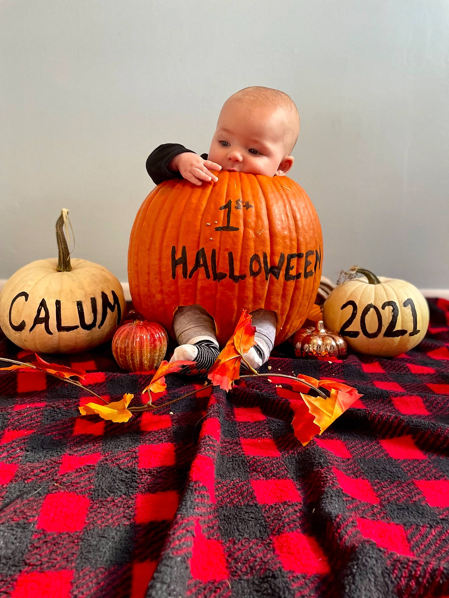 Calum joined the competition — help win amazing prizes! art, calabaza, cucurbita, event, flooring, font, gourd, holiday, local_food, natural_foods, orange, pattern, person, plant, pumpkin, room, squash, still_life_photography, vegetable, winter_squash