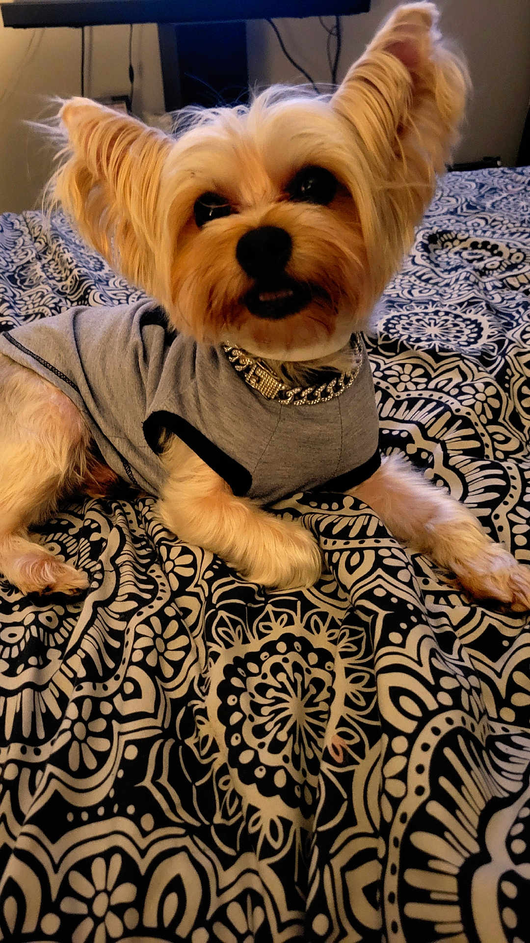 Max