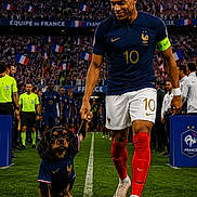 Lolipop participe au concours pour gagner de l'argent avec cette photo : soccer_player, dog, stadium, crowd, flag, sports_uniform, grass, leash, team_captain, sport_event, referee, athlete, celebration, competition, national_team, blue_jersey, red_socks, number_10, walking, outdoor