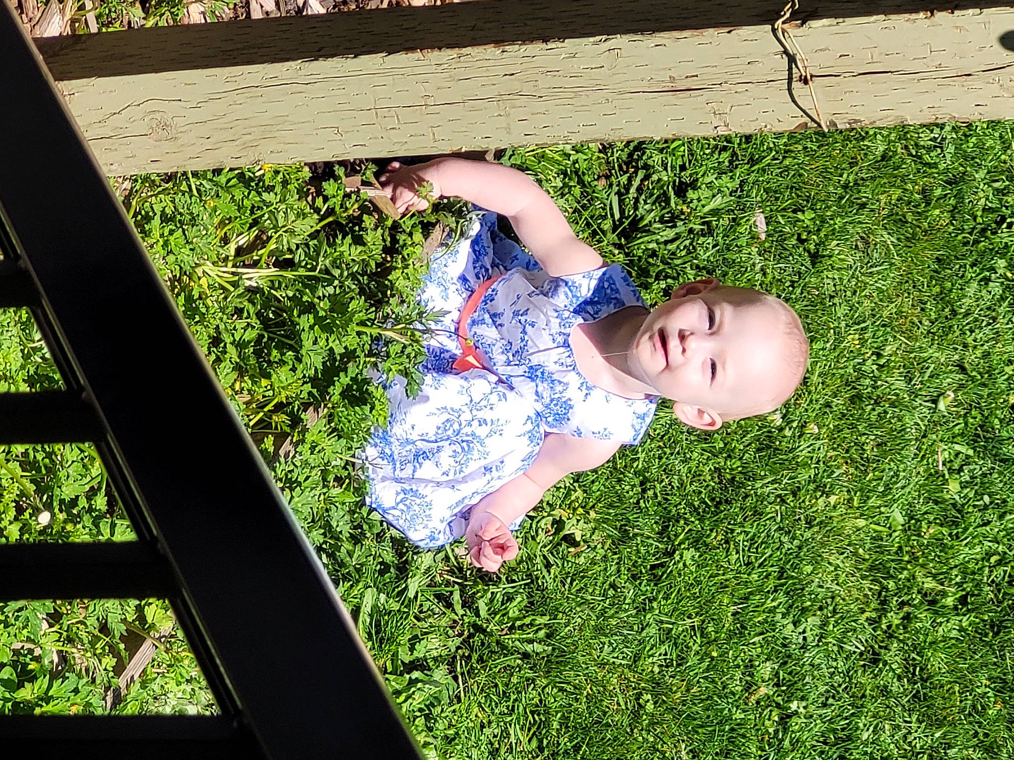 Rhea joined the competition — help win amazing prizes! baby, baby_toddler_clothing, child, fun, garden, grass, happy, human_body, lawn, leaf, leisure, nature, people_in_nature, person, plant, shade, shrub, sunlight, tints_and_shades, toddler
