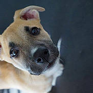 June a rejoint le concours — aidez-le/la à gagner de superbes lots !